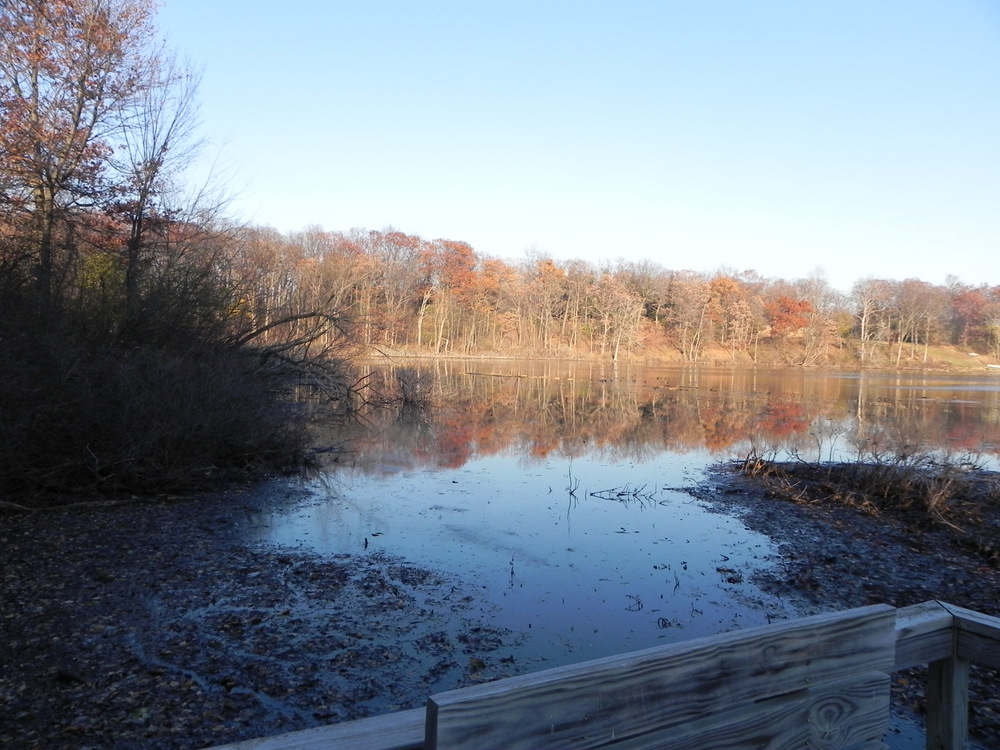 Clam Lake Waterford Michigan